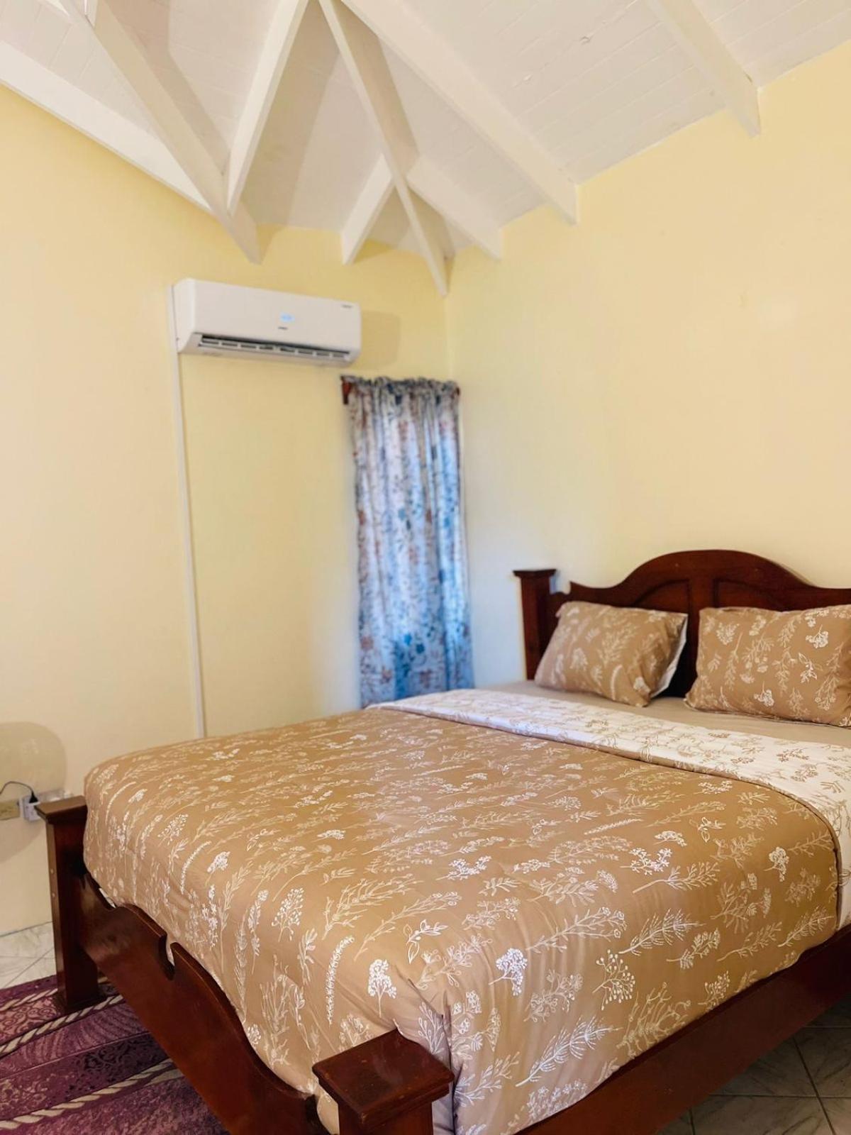 Castle Berry Apartments Κίνγκσταουν Εξωτερικό φωτογραφία