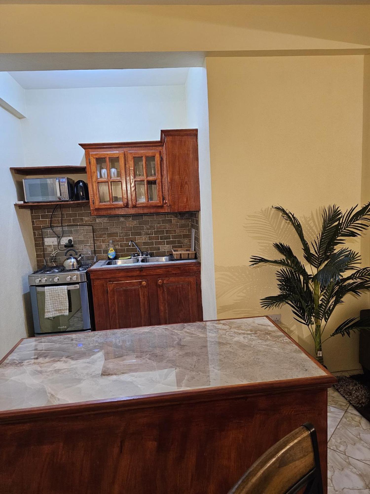 Castle Berry Apartments Κίνγκσταουν Εξωτερικό φωτογραφία